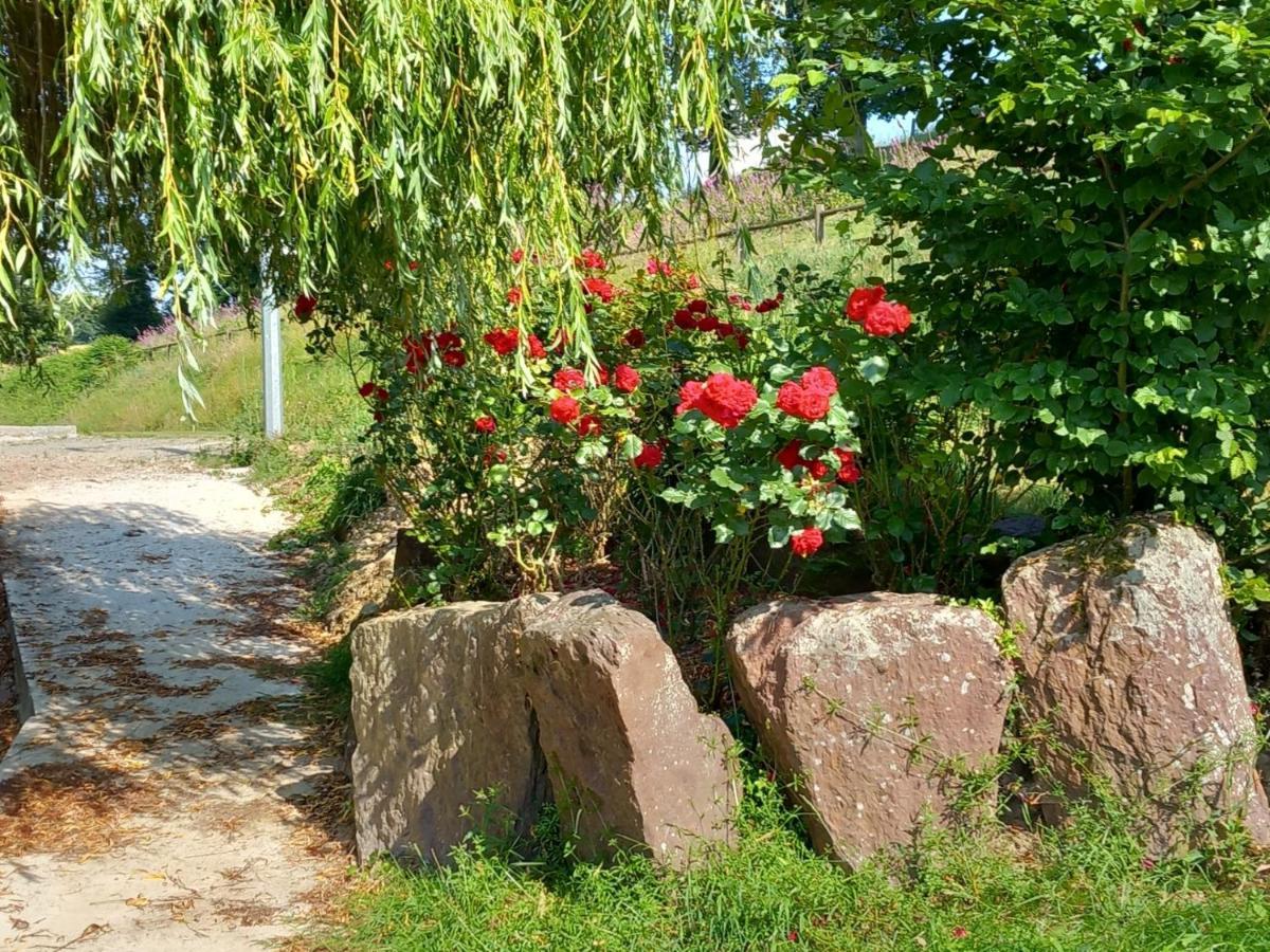 A La Memoire De Merlin & Spa Saint-Malon-sur-Mel Dış mekan fotoğraf