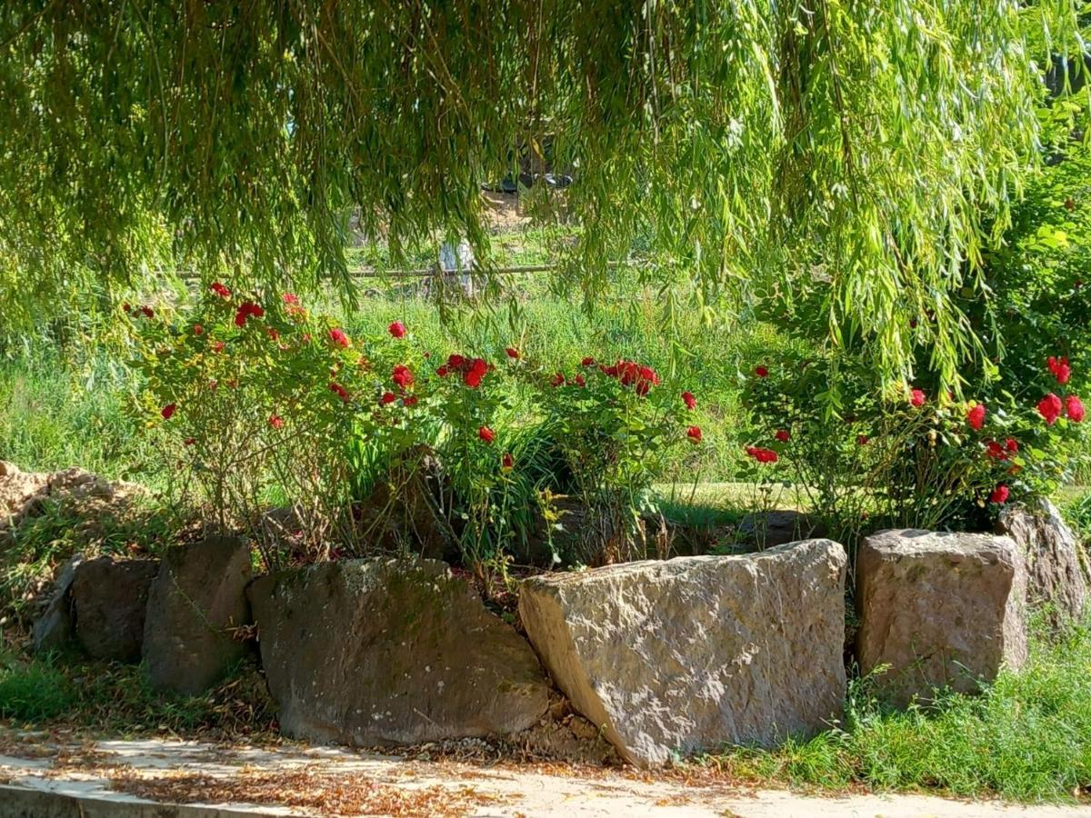 A La Memoire De Merlin & Spa Saint-Malon-sur-Mel Dış mekan fotoğraf
